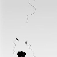 Syskonen Carlstedts märkliga tidsresa